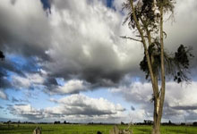 北单足球官网首页能提供哪些服务？如何高效使用其功能？